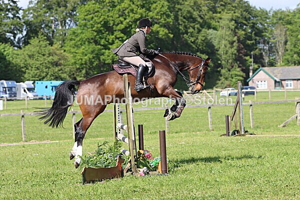 IMG_4803 - Working Hunter