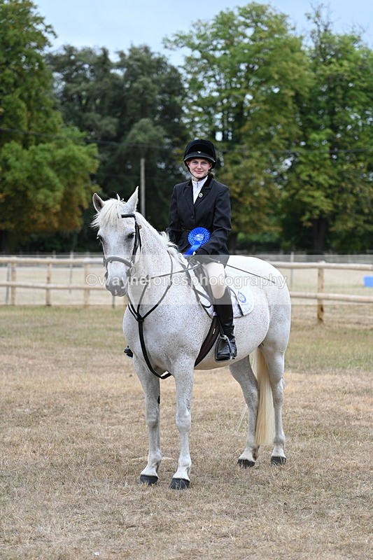 WJ7_1008 - Class 7 Riding Club Show Horse