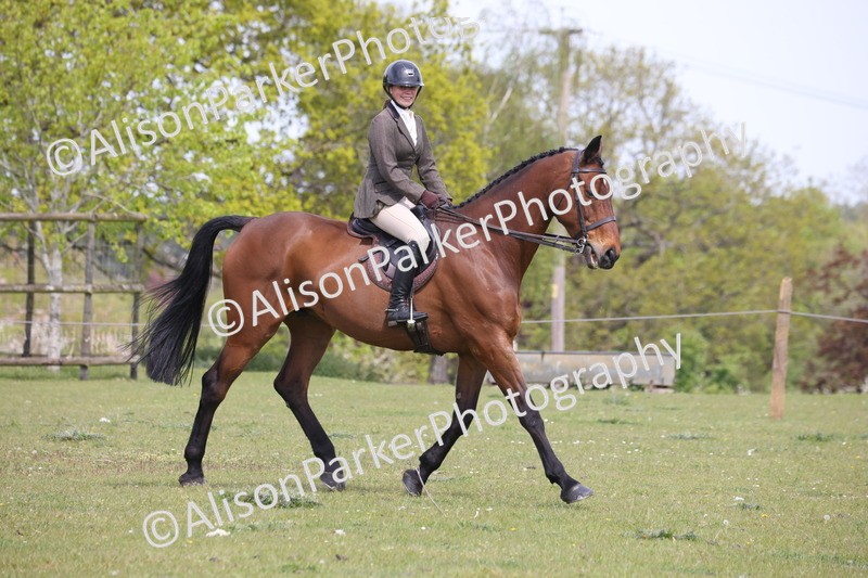 20260426-4456 - Class 34 - Best Riding Horse Over 14.2hh