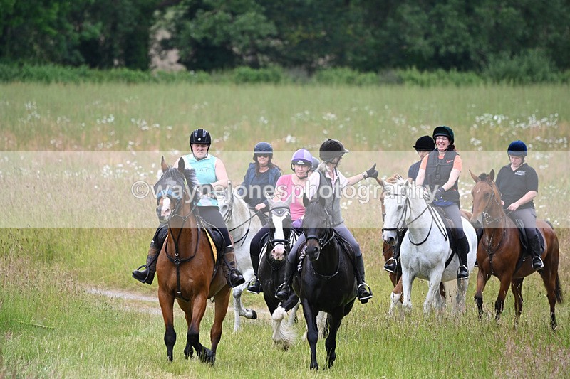 WJ6_8353 - Camera 1 Gallops