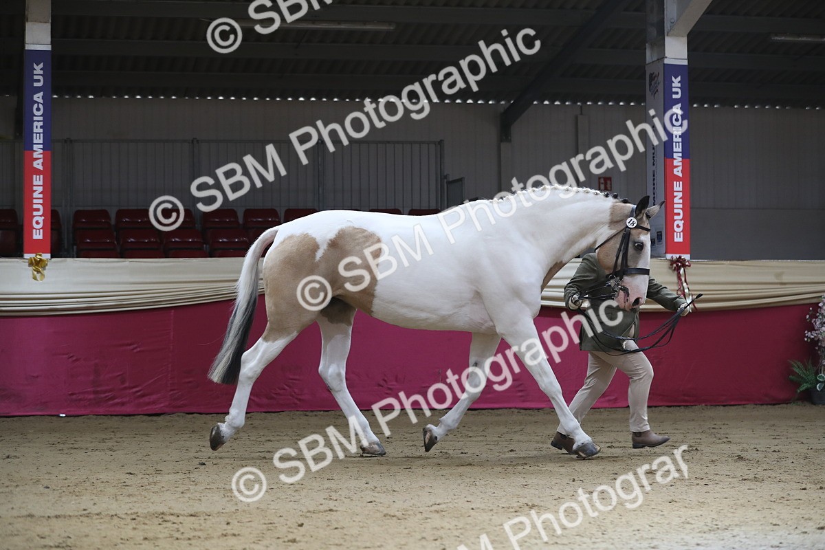SBM_01287 - Class 3a Area IH Pre Vet