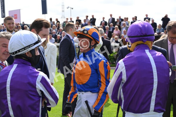 yr18082021r3-13 - Race 3 3.00pm Sky Bet Great Voltigeur Stakes