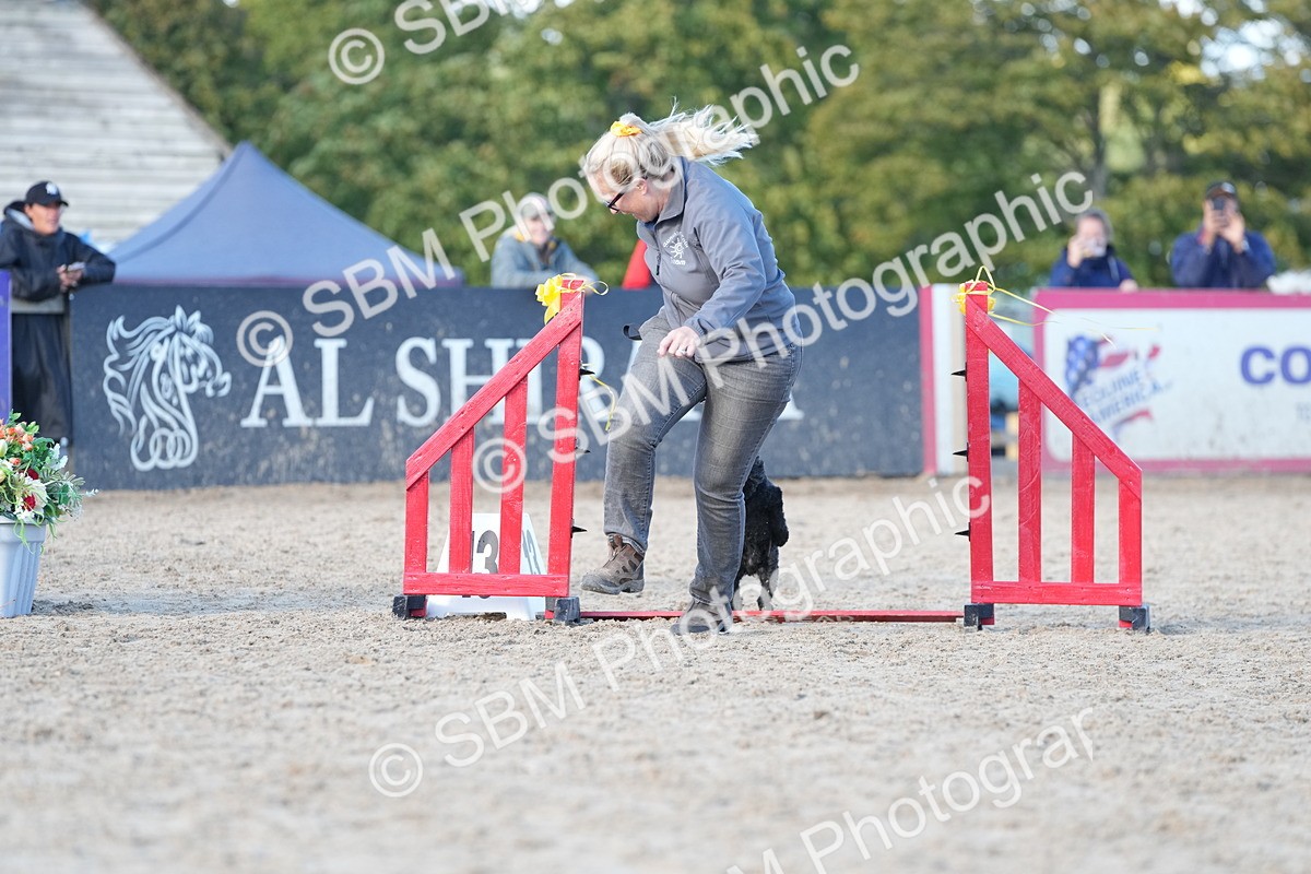 SBM_29011 - J43 - Horse & Hound Open 50cm