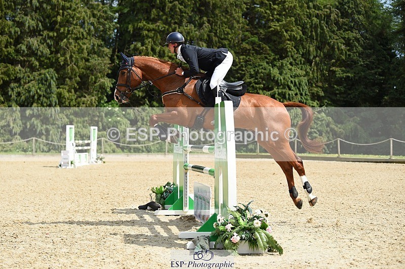 230528-144932-18764 - 131-FORTSIDE_COBRA-Freddie_Carden-SUNTrotUp+SJ