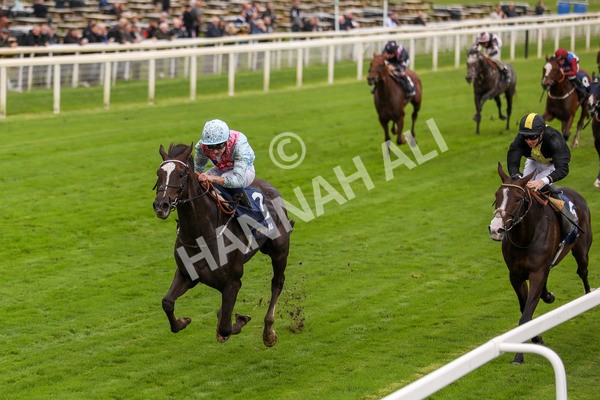 131023-Race 2-Lordship-9753 - Race 2 2.40pm William Hill Finale Handicap