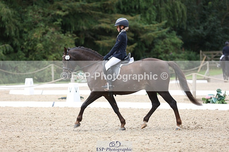 230812-103608-03275 - Cls 5 Novice Bronze Start to 10.55 break