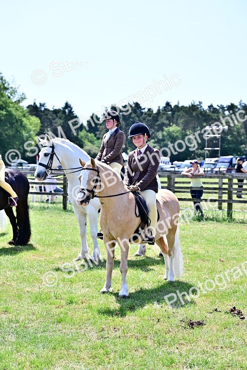 SBM_15420 - Class 95-97 - BSPS LHS Performance Ponies