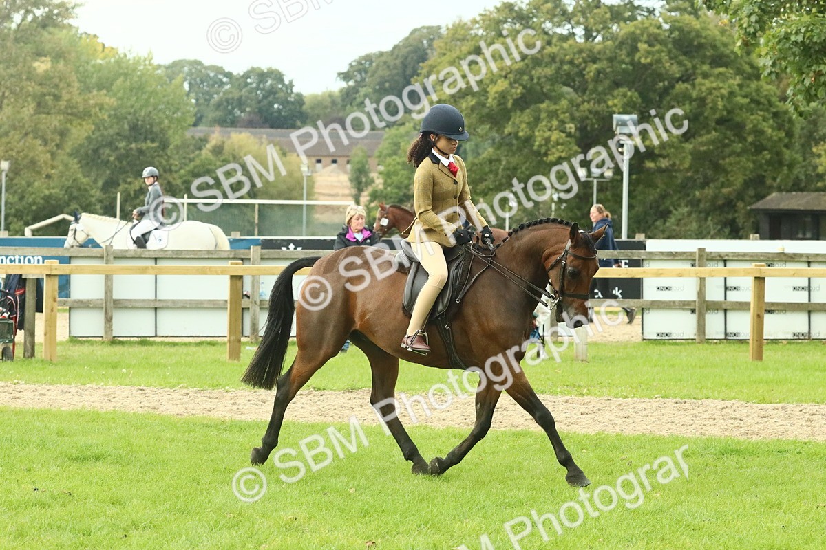 SBM_74092 - S 61 - Show Pony & Show Hunter Pony Ridden