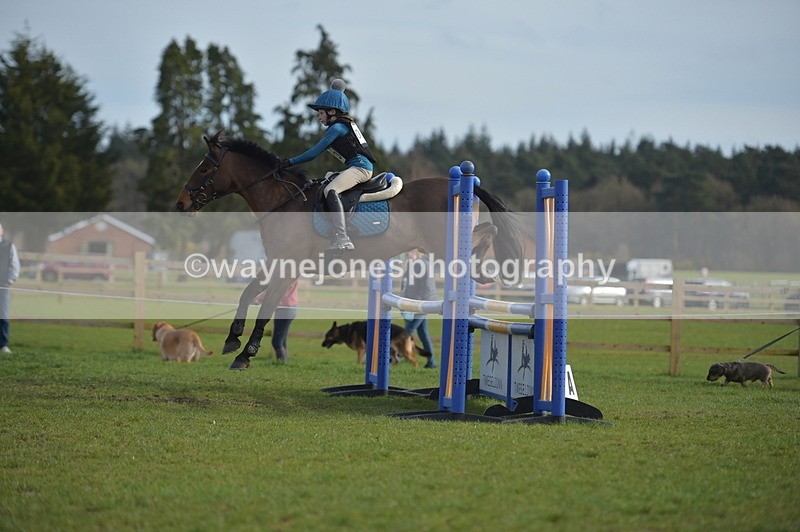 NGP_3590 - Time 15:46 to 16:17