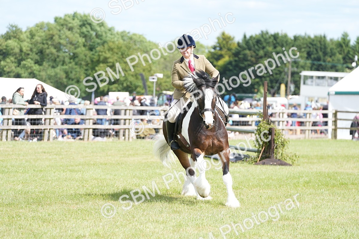 SBM_17296 - Class 107-108 - LIHS BSPS Performance Coloured Horse Pony