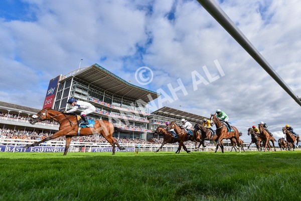 210825-Race 6-Stellar Sunrise-9232 - Race 6 4.45pm Mews Hotel Ossett EBF Stallions Nursery Handicap