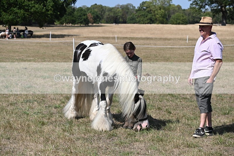 WJ6_9494 - Class 40 Cheekiest Pony/Horse