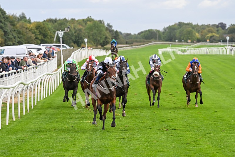 021024-Race 3-Kirkdale-9303 - Race 3