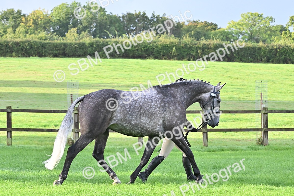 SBM_32606 - S15 - Top Turnout In Hand