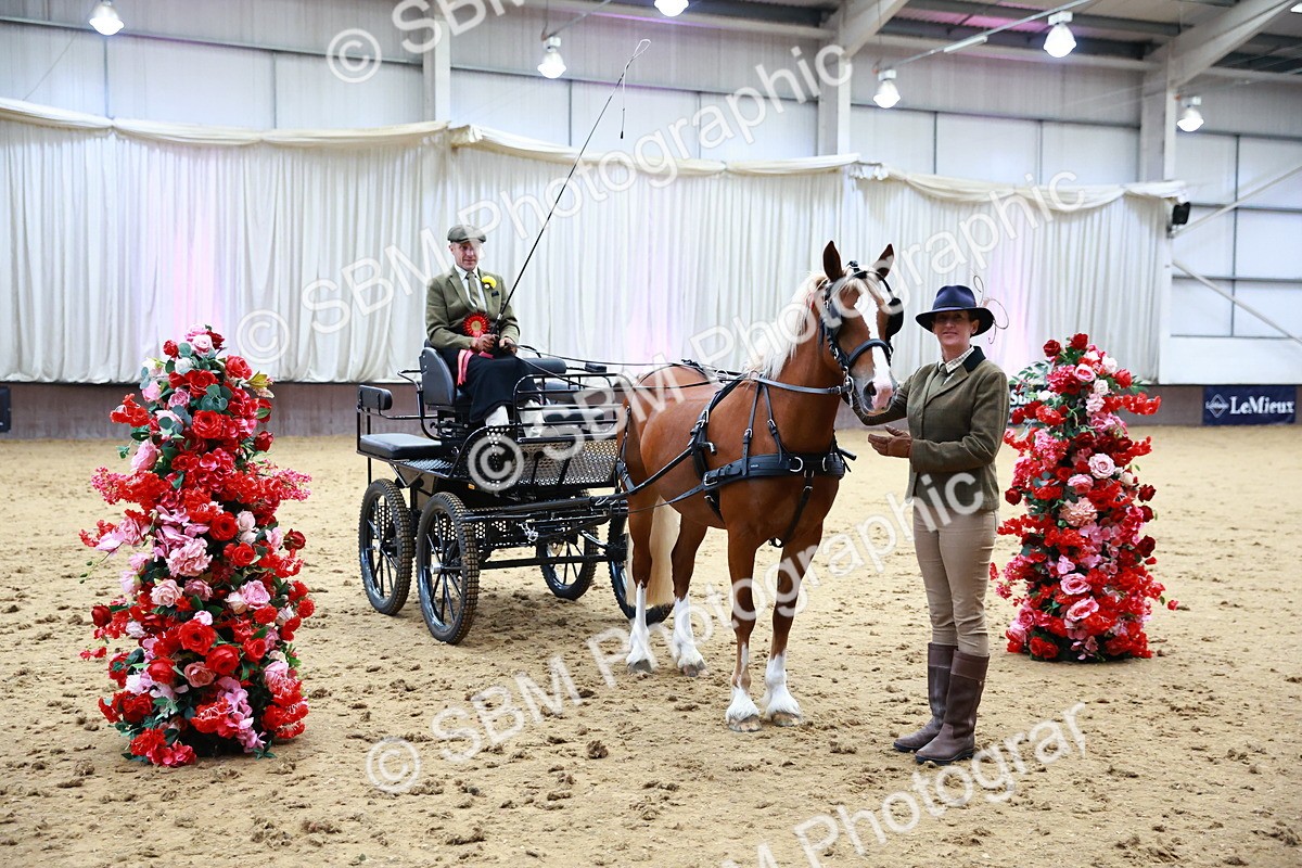 SBM_000686 - Class 11 - Peter Howell Memorial Gentlemen Whip