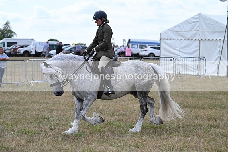 WJ7_5277 - Class 12 Ridden Cob