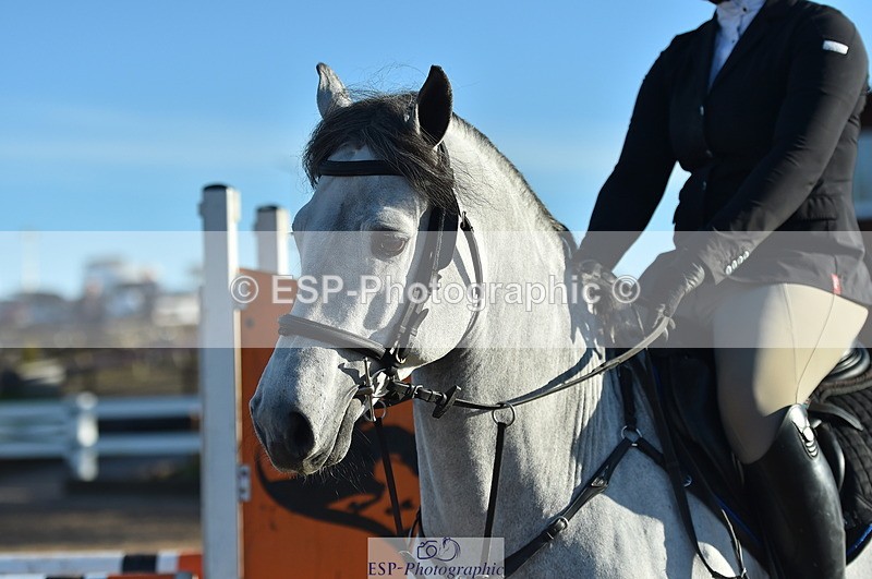 231111A-030000-01313 - Cls 9 British Novice & 90cm Open