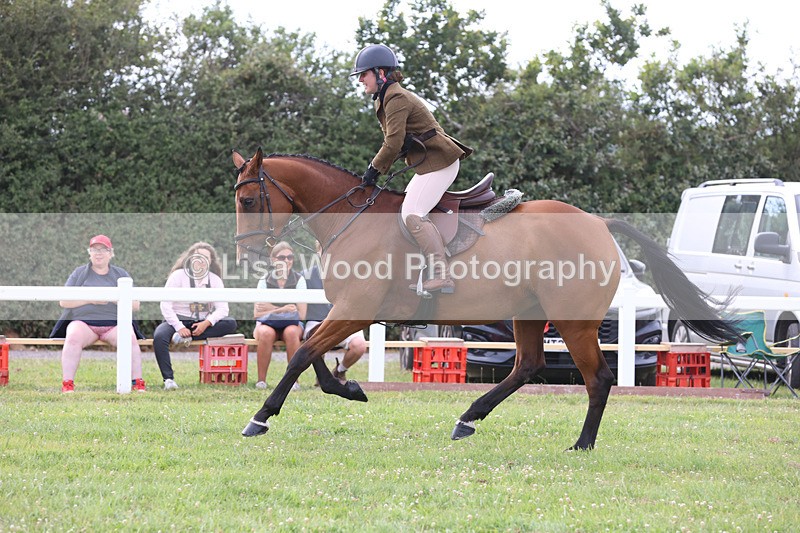 JPP_4108 - Class 24: Working Hunter 90cm