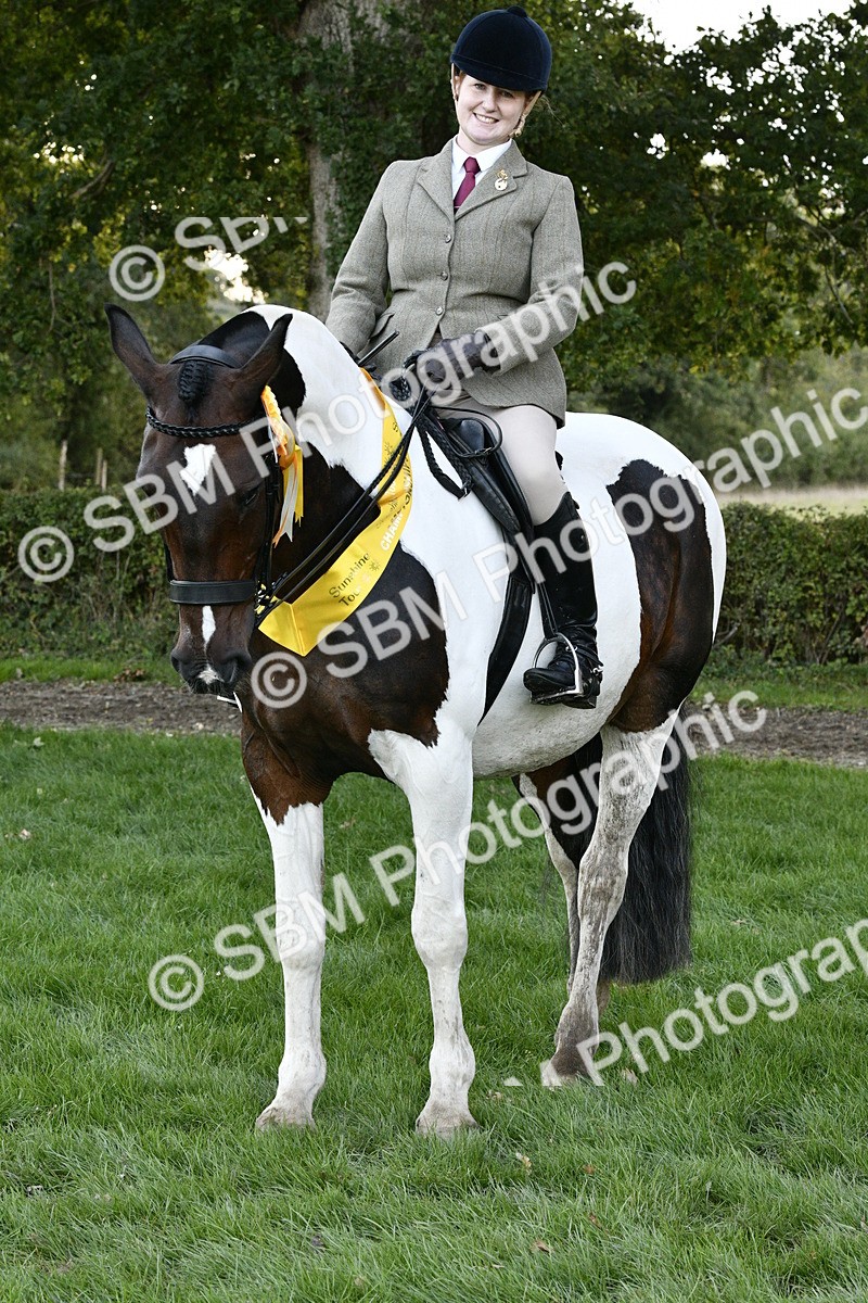 SBM_53611 - S14 - Riding Club Horse