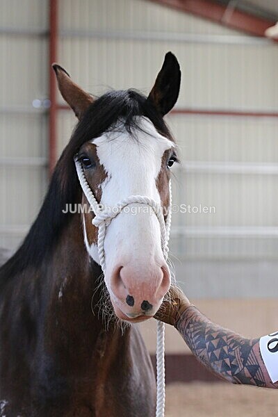 SIAL0229 - Indoor Classes