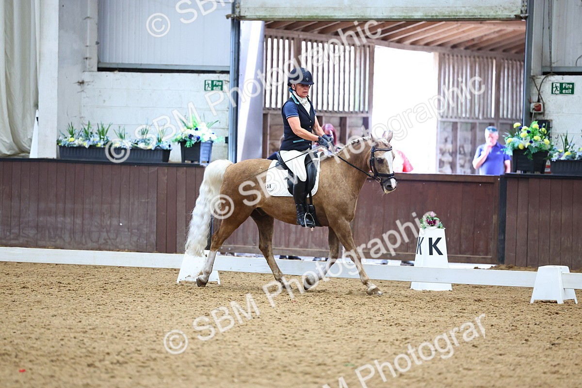 SBM_005565 - Elementary 2