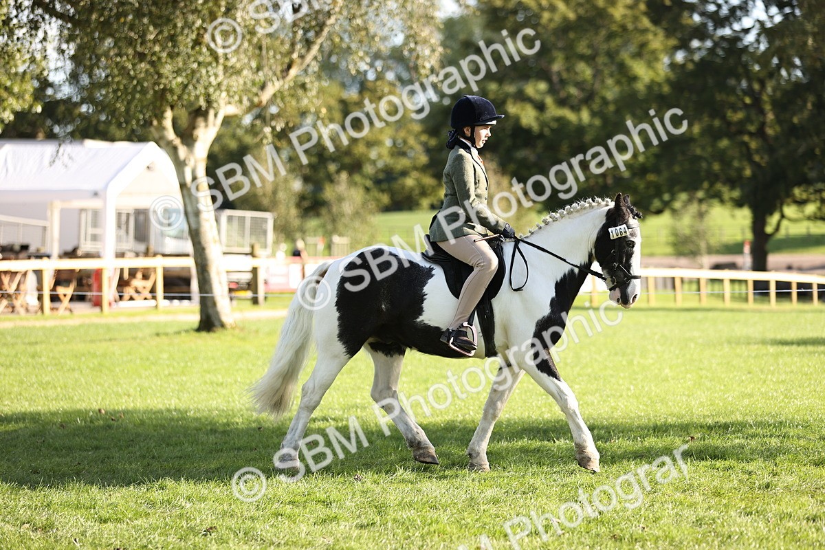SBM_29334 - S7 - Novice & Newcomers Ridden Pony