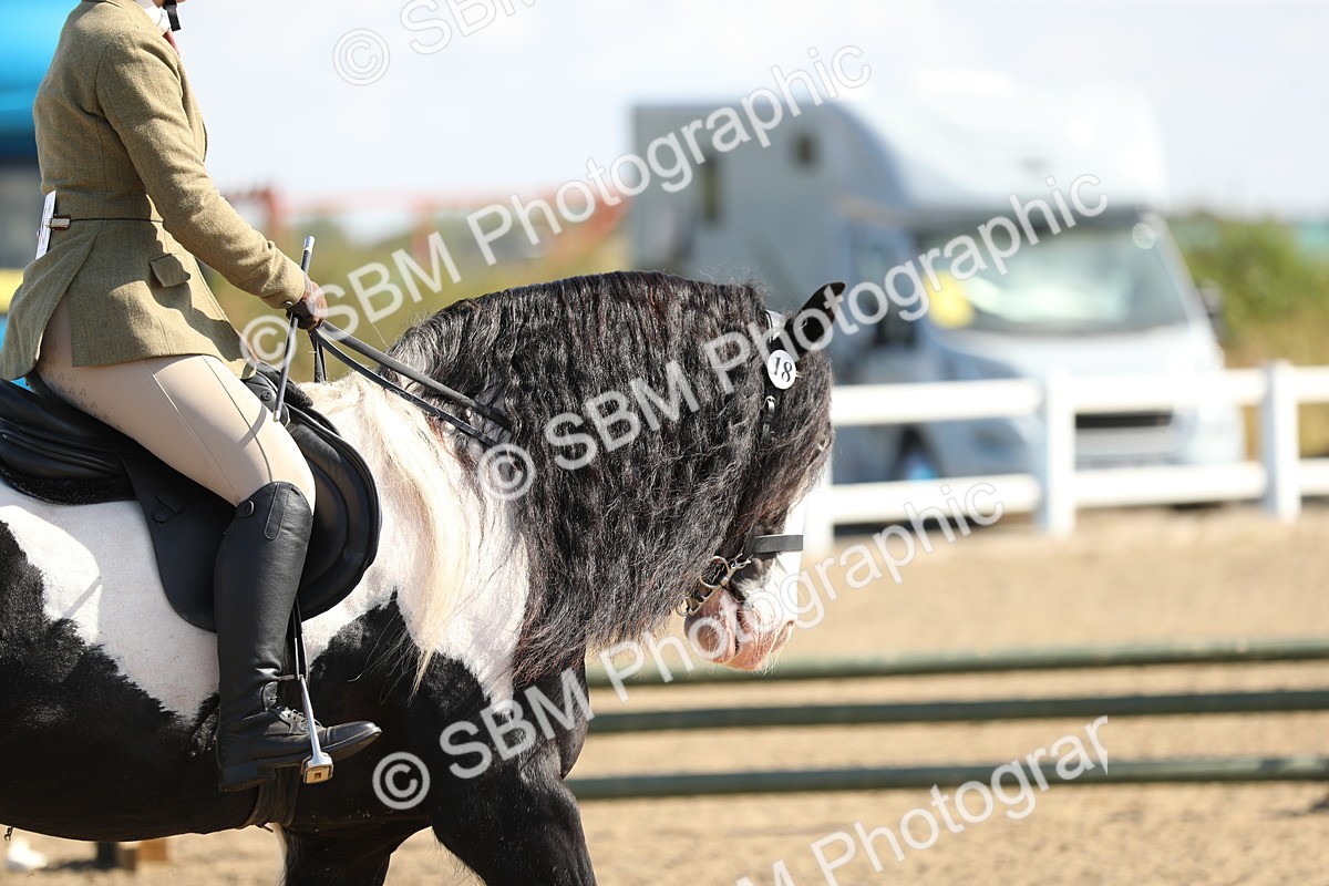 SBM_03228 - Class 44 Riding Club Horse/ Pony