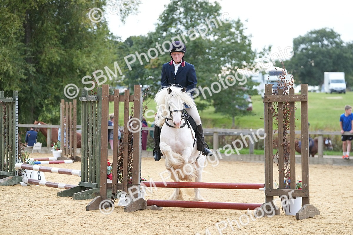 SBM_74891 - J4 - Mini Tour Junior Pony 45cm Championship