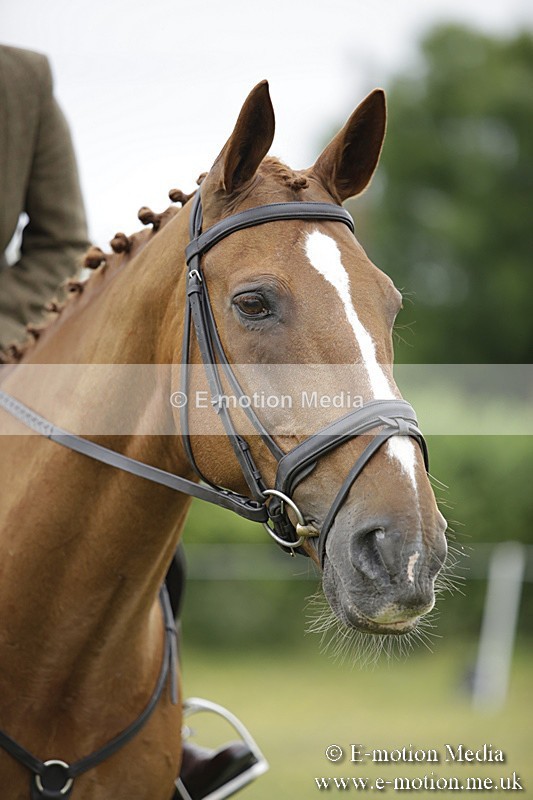 BVR160717-1060 - Ring 1 BVRC Show 16/07/17