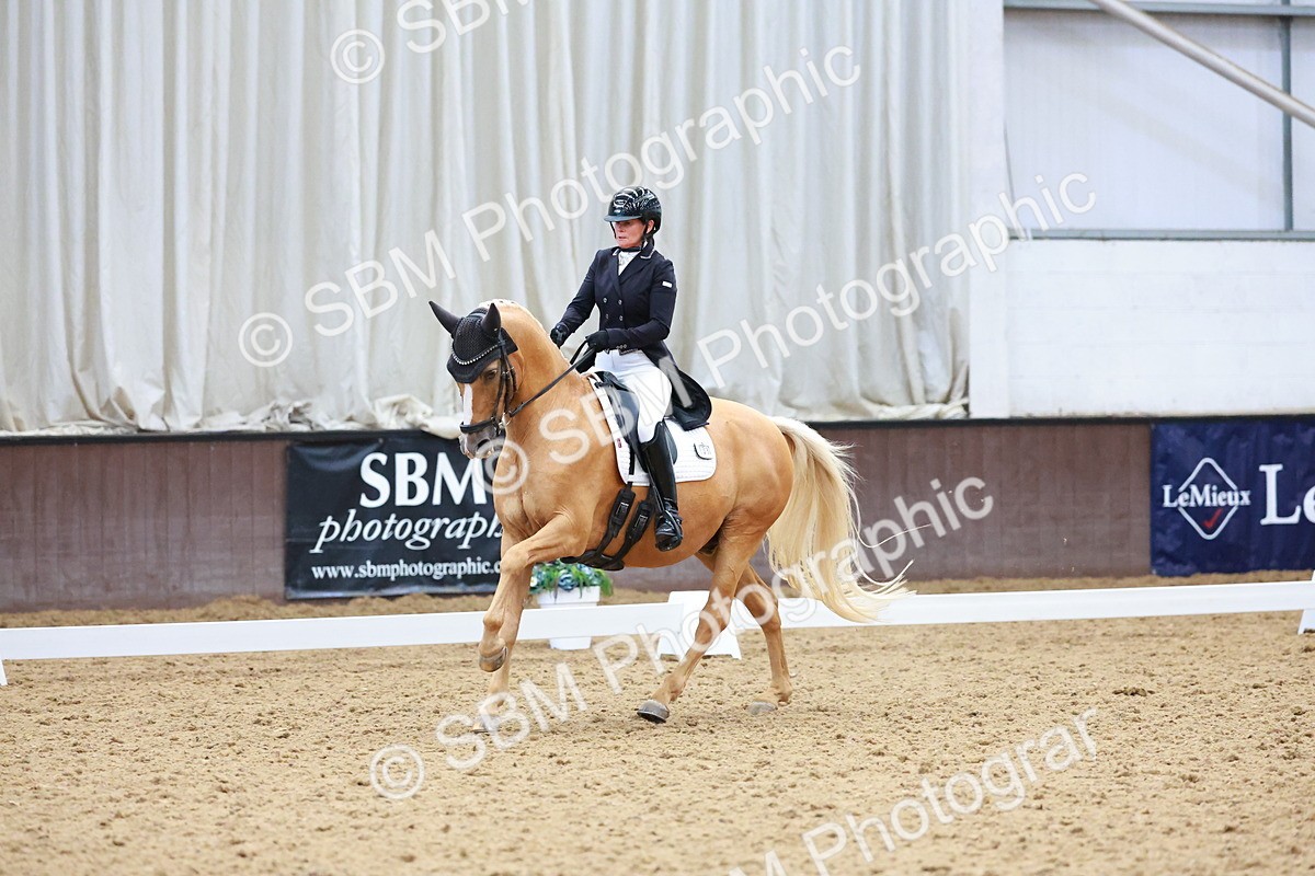 SBM_021313 - Class 25 - FEI PSG Bronze