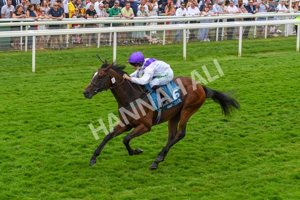 170623-Race 5-Twilight Romance-0787 - Race 5 4.15pm Reg Griffin Appreciation ebfstallions.com Maiden Stakes