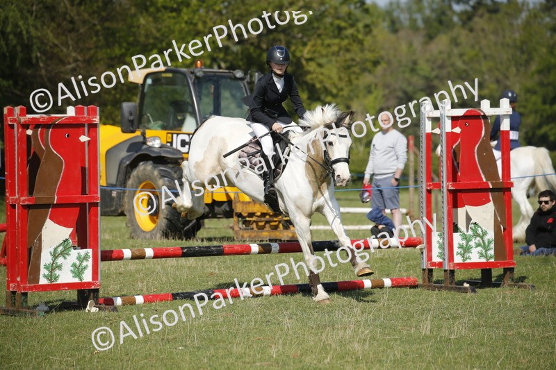20250427-0446 - Class 12 - Rookie Jumping 40cm