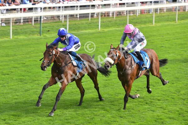 yr05092021r4-25 - Race 4 3.45pm Coopers Marquees British EBF Future Stayers' Novice Stakes