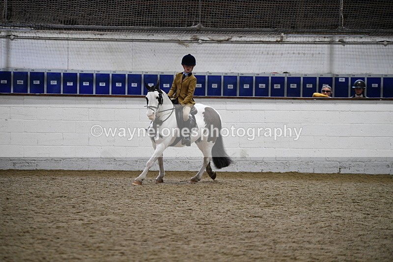 WJ5_7310 - Class 11 Ridden PC - RC Pony