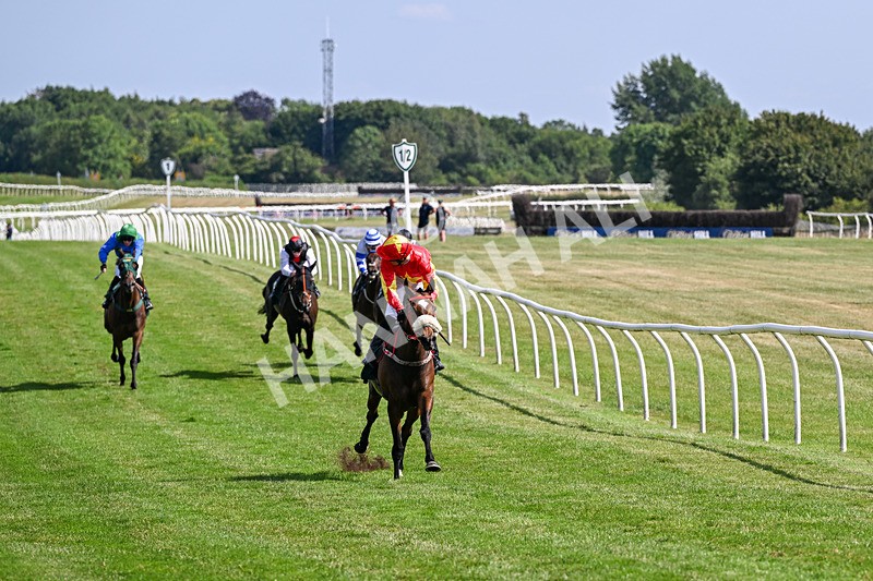 080726-Race 5-Sugarpiehoneybunch-7534 - Race 5 16.00pm Bet At racingtv.com Handicap