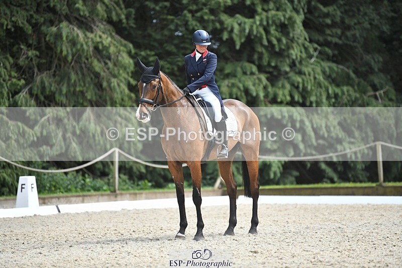 230525-150719-03197 - 324-DRUMGIVEN_MR_CHARISMA-Jeanette_Brakewell-WEDTrotUp+DR