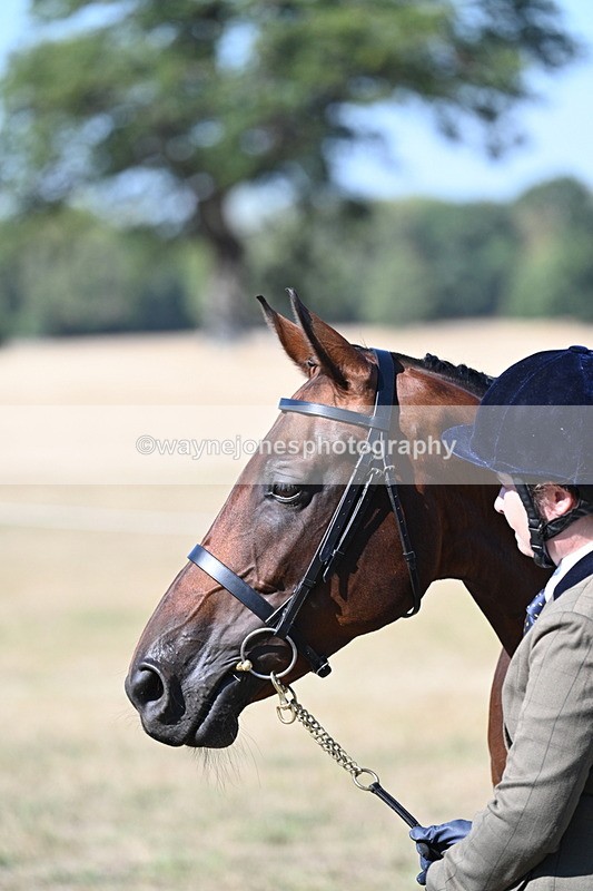 WJ7_1882 - Class 43 Best Six Legs (In hand)