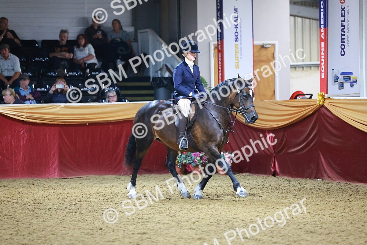 SBM_15693 - Class T - Working Veteran Champ