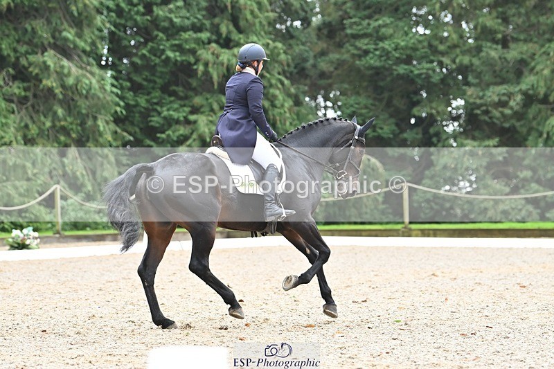 231019-130805-03304 - 121-KNOCKADERRY.MISTY.BAT-Harriet.Dickin-DR