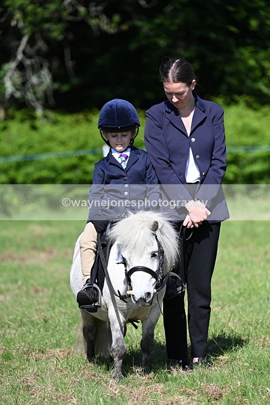 WJ7_0567 - Class 8 First Rally Pony