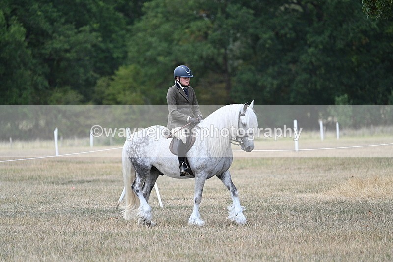 WJ7_4730 - Class 12 Ridden Cob