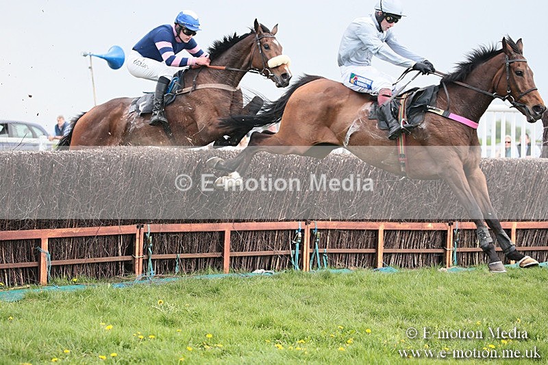 PtP 210418 367 - South & West Wilts Point-to-Point Larkhill 21/04/18