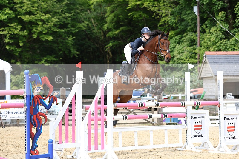 3E7A7674 - Class 8: Senior Foxhunter/1.20 open