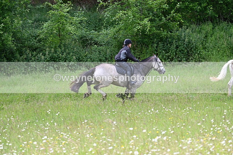 WJ7_8646 - Group 2 10:15am