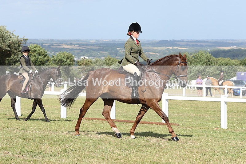 JPP_2860 - Class 20: Working Hunter 70cm