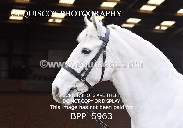 BPP_5963 - Erin Hancock ×2