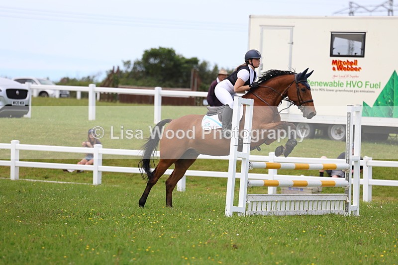 3E7A1747 - Class 13: Senior British Novice/90cm open