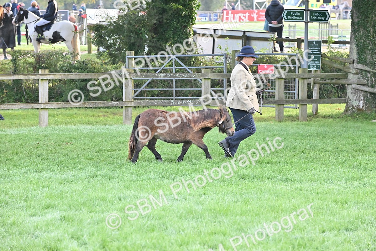 SBM_54605 - S44 - Youngstock In Hand