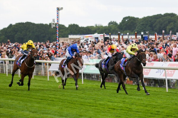 yr11062022r4-18 - Race 4 3.05pm Sky Bet Grand Cup