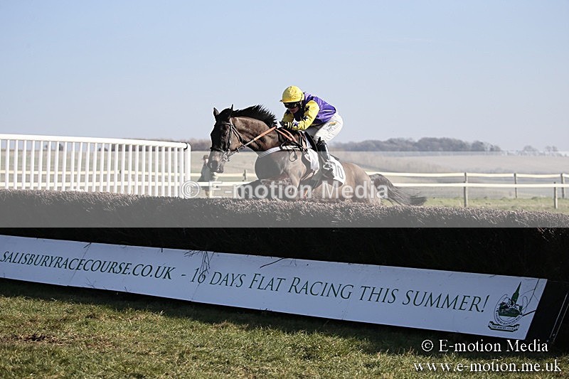 PtP 240218 281 - Vine & Craven Hunt Point-to-Point Barbury racecourse 24/02/18